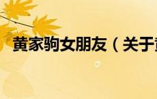 黄家驹女朋友（关于黄家驹女朋友的介绍）