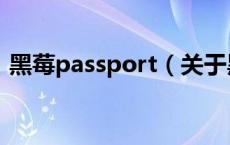 黑莓passport（关于黑莓passport的介绍）