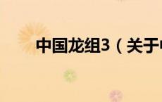 中国龙组3（关于中国龙组3的介绍）