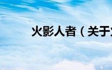 火影人者（关于火影人者的介绍）