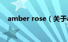amber rose（关于amber rose的介绍）