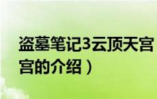 盗墓笔记3云顶天宫（关于盗墓笔记3云顶天宫的介绍）