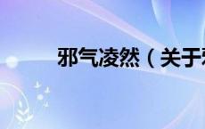 邪气凌然（关于邪气凌然的介绍）