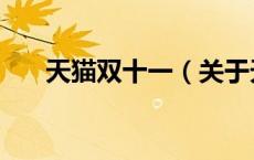 天猫双十一（关于天猫双十一的介绍）