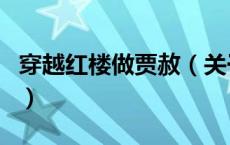 穿越红楼做贾赦（关于穿越红楼做贾赦的介绍）
