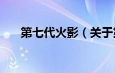 第七代火影（关于第七代火影的介绍）