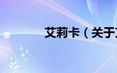 艾莉卡（关于艾莉卡的介绍）