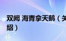 双阙 海青拿天鹅（关于双阙 海青拿天鹅的介绍）