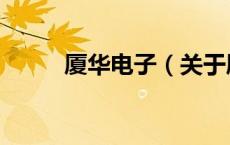 厦华电子（关于厦华电子的介绍）