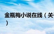 金瓶梅小说在线（关于金瓶梅小说在线的介绍）