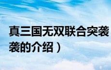 真三国无双联合突袭（关于真三国无双联合突袭的介绍）