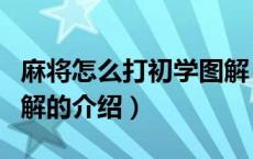 麻将怎么打初学图解（关于麻将怎么打初学图解的介绍）