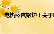 电热蒸汽锅炉（关于电热蒸汽锅炉的介绍）