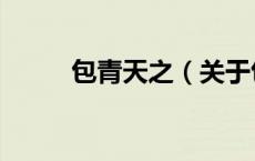 包青天之（关于包青天之的介绍）