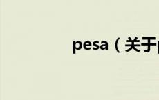 pesa（关于pesa的介绍）