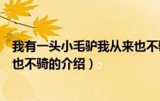 我有一头小毛驴我从来也不骑（关于我有一头小毛驴我从来也不骑的介绍）