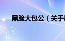 黑脸大包公（关于黑脸大包公的介绍）