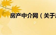 房产中介网（关于房产中介网的介绍）
