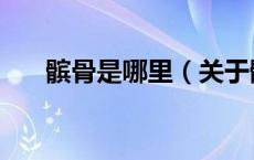 髌骨是哪里（关于髌骨是哪里的介绍）