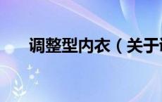 调整型内衣（关于调整型内衣的介绍）