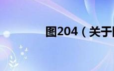 图204（关于图204的介绍）