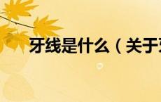 牙线是什么（关于牙线是什么的介绍）