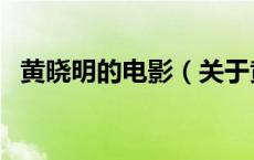 黄晓明的电影（关于黄晓明的电影的介绍）