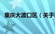 重庆大渡口区（关于重庆大渡口区的介绍）