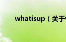 whatisup（关于whatisup的介绍）
