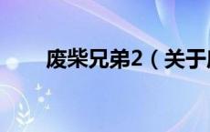 废柴兄弟2（关于废柴兄弟2的介绍）