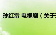 孙红雷 电视剧（关于孙红雷 电视剧的介绍）