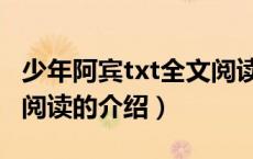 少年阿宾txt全文阅读（关于少年阿宾txt全文阅读的介绍）