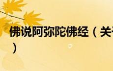 佛说阿弥陀佛经（关于佛说阿弥陀佛经的介绍）