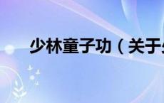 少林童子功（关于少林童子功的介绍）