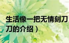 生活像一把无情刻刀（关于生活像一把无情刻刀的介绍）