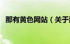 那有黄色网站（关于那有黄色网站的介绍）