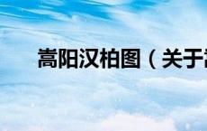 嵩阳汉柏图（关于嵩阳汉柏图的介绍）