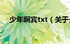 少年啊宾txt（关于少年啊宾txt的介绍）
