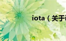 iota（关于iota的介绍）