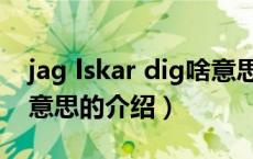 jag lskar dig啥意思（关于jag lskar dig啥意思的介绍）