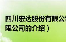 四川宏达股份有限公司（关于四川宏达股份有限公司的介绍）