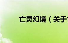 亡灵幻境（关于亡灵幻境的介绍）