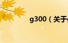 g300（关于g300的介绍）