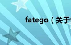 fatego（关于fatego的介绍）