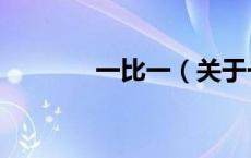 一比一（关于一比一的介绍）