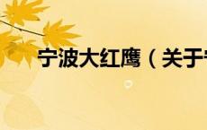 宁波大红鹰（关于宁波大红鹰的介绍）