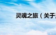 灵魂之旅（关于灵魂之旅的介绍）