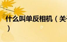 什么叫单反相机（关于什么叫单反相机的介绍）
