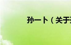 孙一卜（关于孙一卜的介绍）