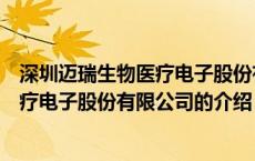 深圳迈瑞生物医疗电子股份有限公司（关于深圳迈瑞生物医疗电子股份有限公司的介绍）